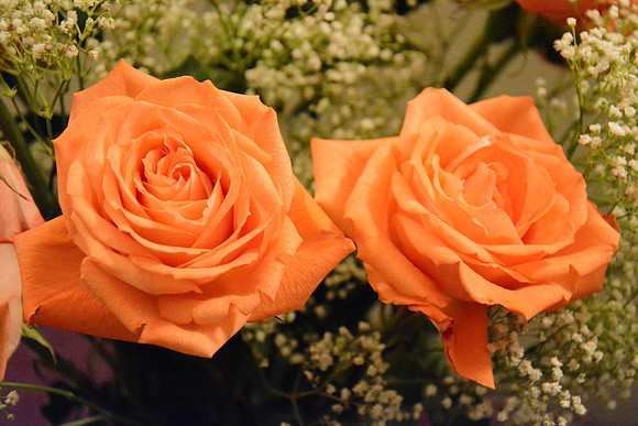 Nikon D5200-426_ISO 12800_1-50 sec at f - 5.6_18.0-105.0 mm f-3.5-5.6 at 50 mm