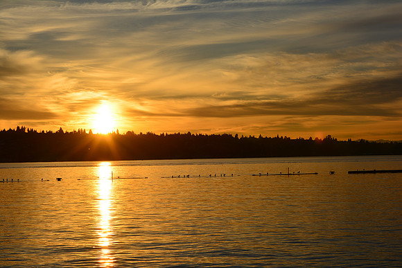 Nikon D5200-344_ISO 100_1-500 sec at f - 11_18.0-105.0 mm f-3.5-5.6 at 48 mm