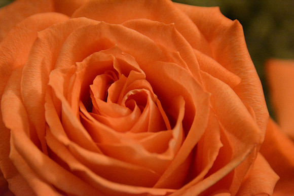 Nikon D5200-436_ISO 7184_1-60 sec at f - 5.6_28.0-300.0 mm f-3.5-5.6 at 300 mm