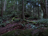G16-42_ISO 2000_InCameraHDR