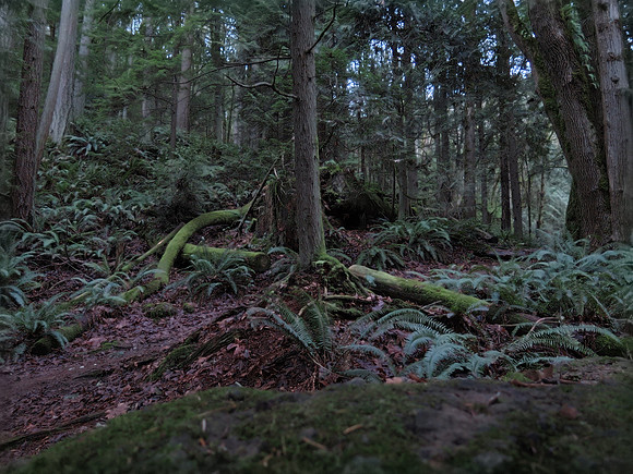 G16-42_ISO 2000_InCameraHDR