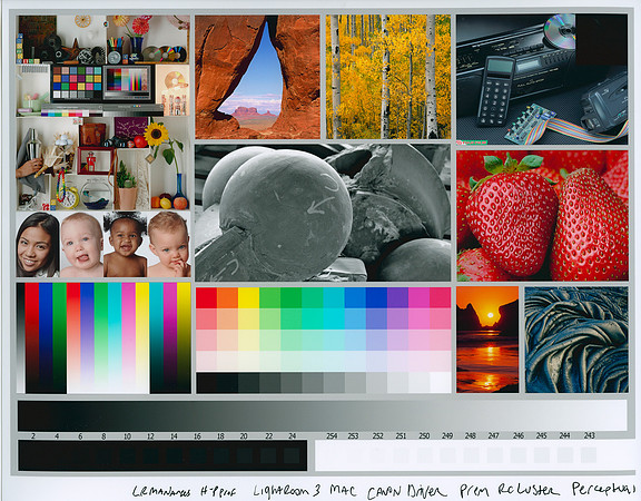 Epson Scan Pro Mode EZColor Profile NO Digital Ice and Sharpen Med 004