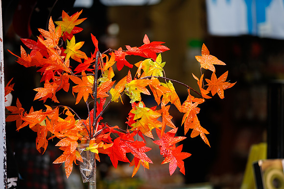 Asia 2012-3656