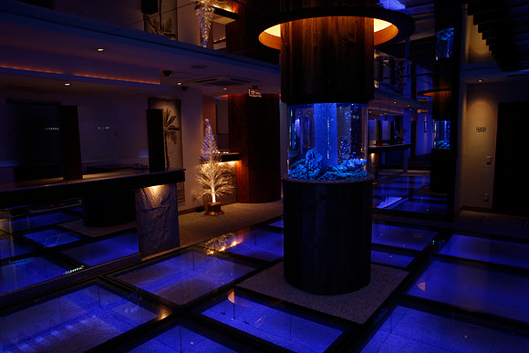 Asia 2012-2704