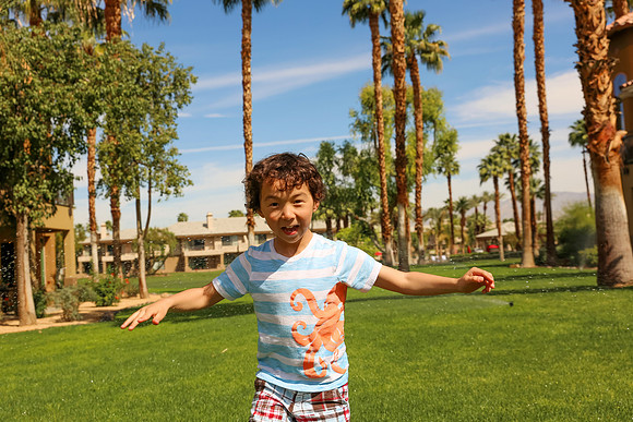 Palm Desert-103