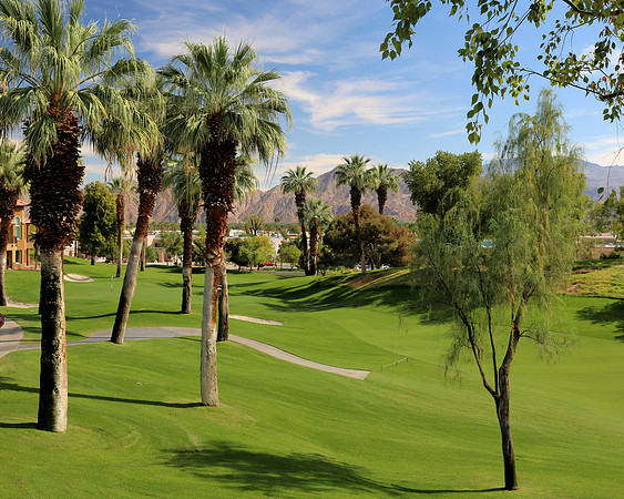 Palm Desert-5