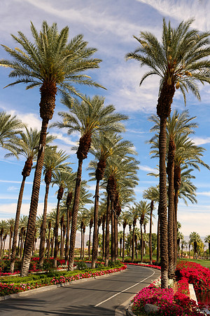 Palm Desert-172