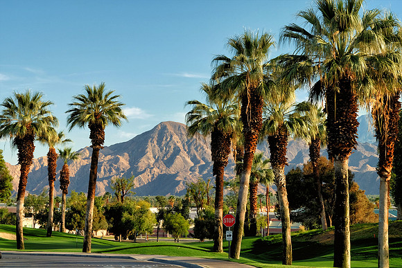 Palm Desert X-E2-26