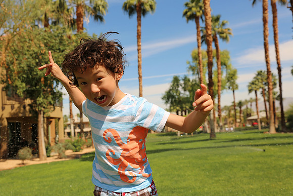 Palm Desert-105