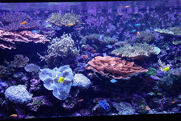 SonyRX100-262_ISO 125_1-80 sec at f - 1.8_10.4-37.1 mm f-1.8-4.9 at 10.4 mm