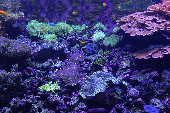 SonyRX100-265_ISO 125_1-100 sec at f - 2.0_10.4-37.1 mm f-1.8-4.9 at 10.4 mm