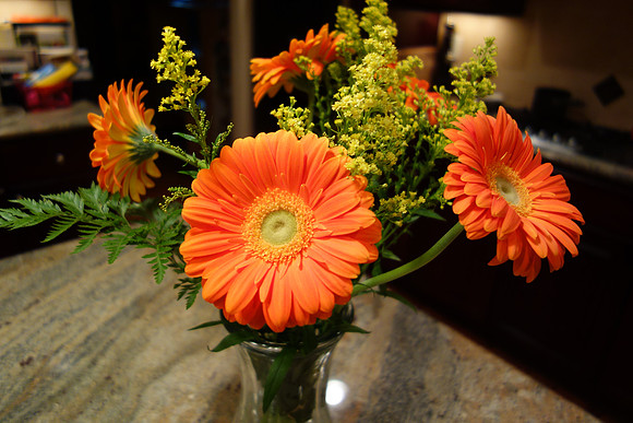 SonyRX100-643_ISO 200_1-30 sec at f - 1.8_10.4-37.1 mm f-1.8-4.9 at 10.4 mm