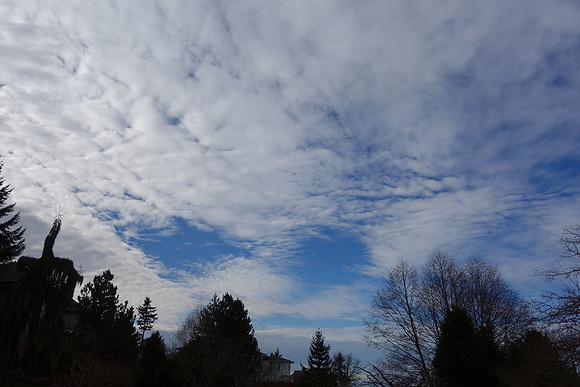 SonyRX100-67_ISO 125_1-800 sec at f - 6.3_10.4-37.1 mm f-1.8-4.9 at 10.4 mm