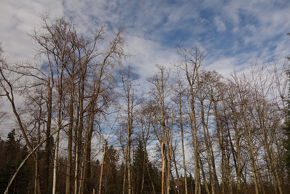 SonyRX100-112_ISO 125_1-500 sec at f - 5.6_10.4-37.1 mm f-1.8-4.9 at 10.4 mm