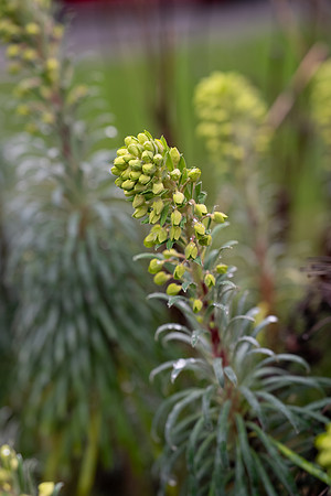 Sony A1 II-37