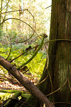 Sony A1 II-173