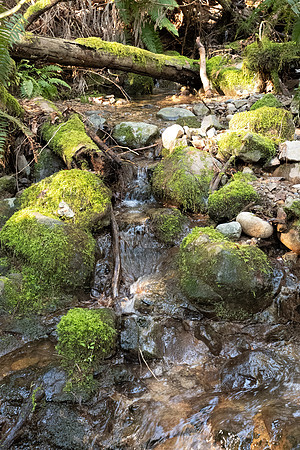 Sony A1 II-215