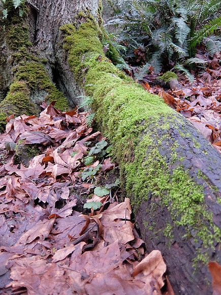 XQ1-103_ISO 400_1-60 sec at f - 1.8_ at 6.4 mm