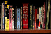 a7r4 bookshelf-31-DxO_DeepPRIME XD3