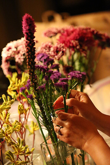 Canon 1D-X First Shots-42_ISO 25600__1-250 sec at f - 4.0