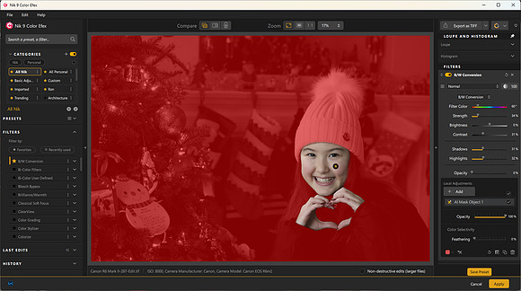 Nik 9 AI Object Mask Inveterted