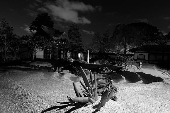 _0004_Perfect B&W - Automagic