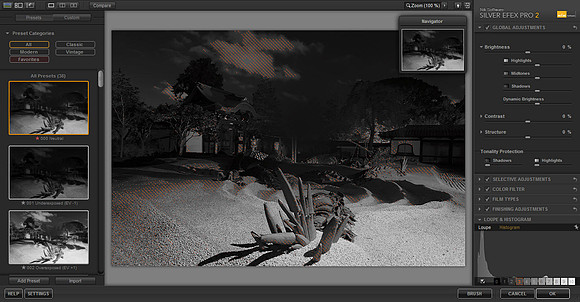 Nik Software Silver Efex Pro 2