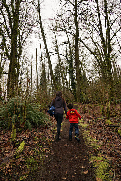 a6000-194-a3000-194_ISO 100_1-160 sec at f - 4.0_E 16-70mm F4 ZA OSS at 16 mm