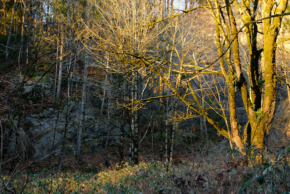 XE2NR-2-104_ISO 6400_1-125 sec at f - 11_XF18-55mmF2.8-4 R LM OIS at 35.8 mm