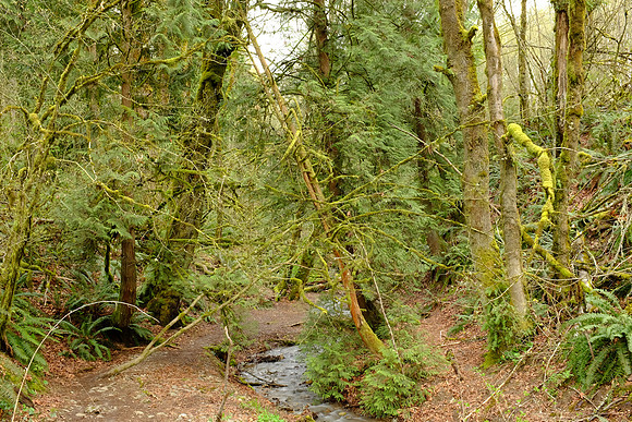 x100s-69_ISO 200_0.7 sec at f - 8.0_ at 23 mm