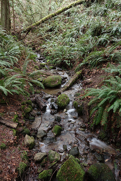 Sony_RX10-146_ISO 125_5.0 sec at f - 8.0_8.8-73.3 mm f-2.8 at 8.83 mm