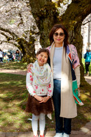 UW Cherry Blossoms 2023-13