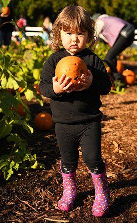D850 Fall-661