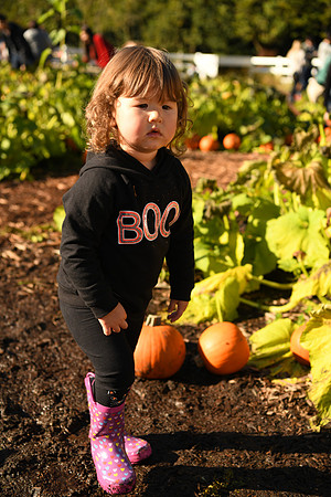D850 Fall-662