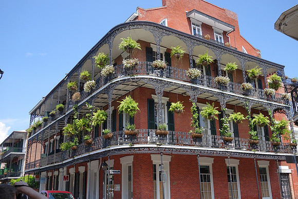 Sony NOLA 2013-208