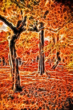 Natural Neon III
