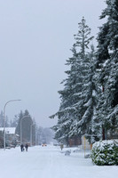 Snow Day X10-49