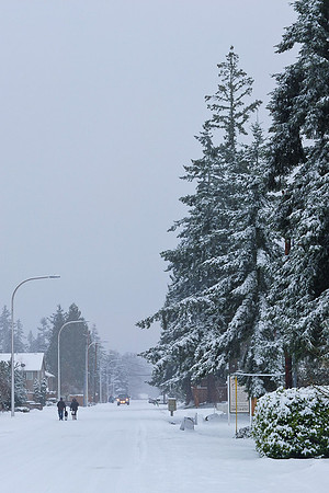 Snow Day X10-49