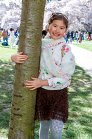 UW Cherry Blossoms 2023-29