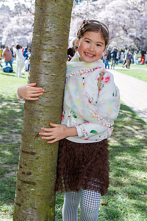 UW Cherry Blossoms 2023-29