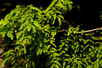 DSC07162