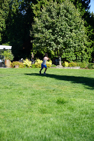 a9-93 ILCE-9 FE 24-70mm F2.8 GM 70 mm 1-1250 sec at f - 3.2 ISO 160_