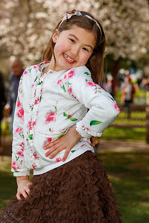 UW Cherry Blossoms 2023-181