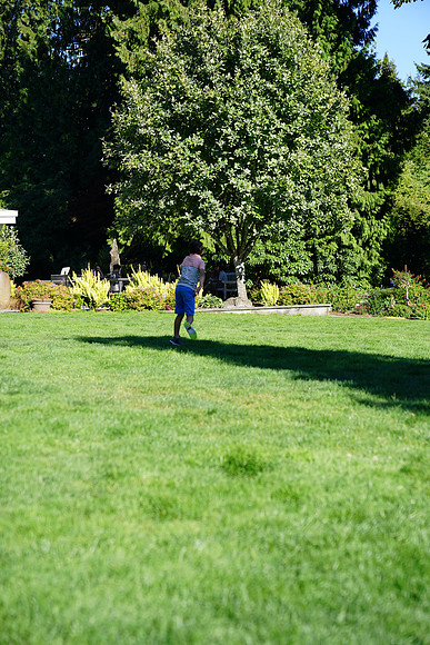 a9-99 ILCE-9 FE 24-70mm F2.8 GM 70 mm 1-1250 sec at f - 3.2 ISO 160_