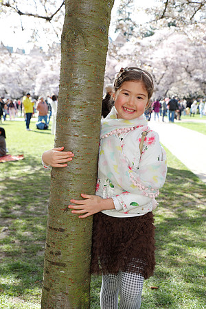 UW Cherry Blossoms 2023-28
