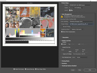 Etching_Win10_EpsonPhotoshop