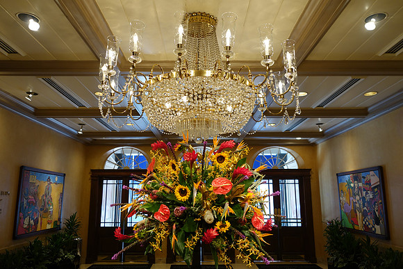 Sony NOLA 2013-242