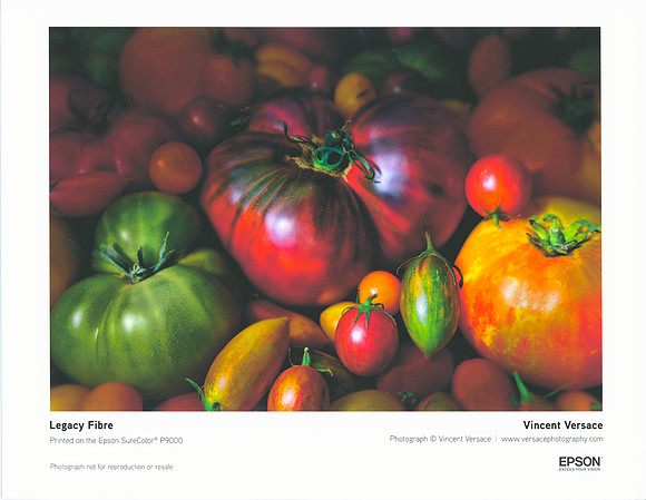 Scan Legacy Fibre - Copyright Vincent Versace