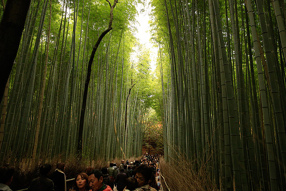 Asia 2012-1506