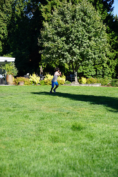 a9-92 ILCE-9 FE 24-70mm F2.8 GM 70 mm 1-1250 sec at f - 3.2 ISO 160_